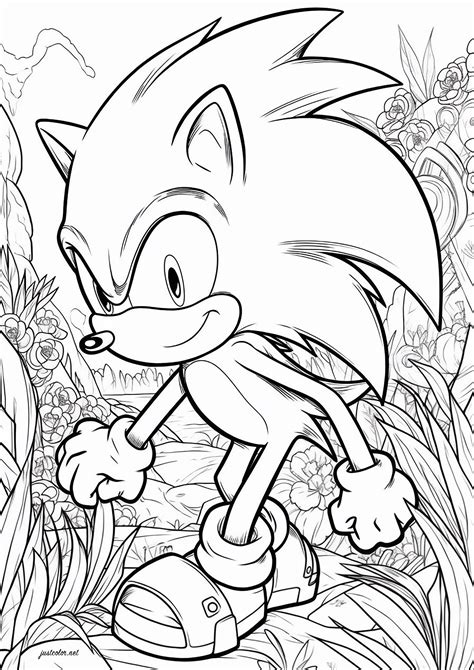 Sonic Coloring Pages for Adults